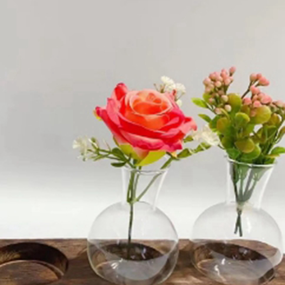 Propagation Station Vase - Vases de plantes hydroponiques 75STO, Station