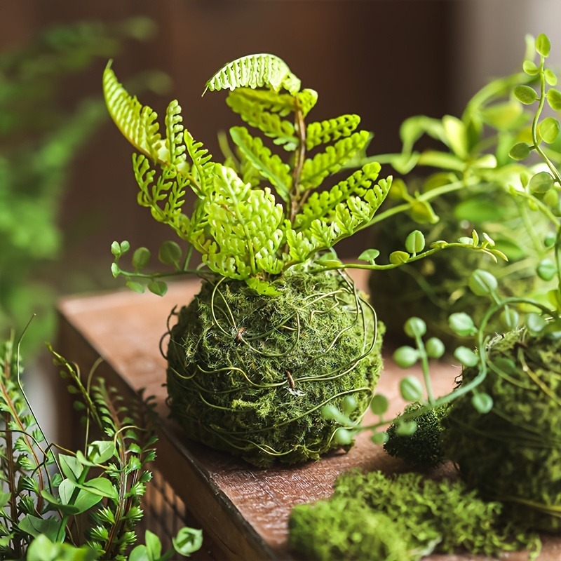 Pot de mousse artificielle, po - Sphagnum Moss Dry avis et prix