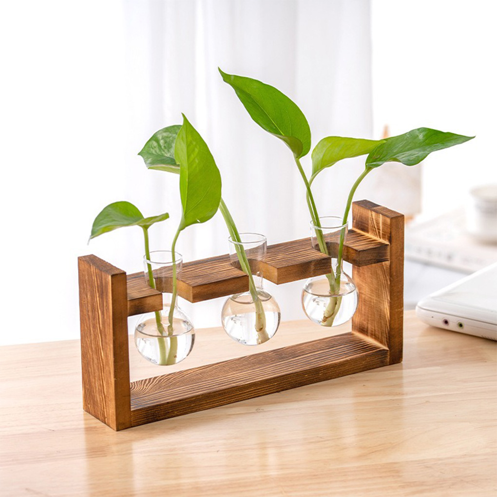 Vases Jardinière hydroponique  - Propagation Station Vase avis et prix