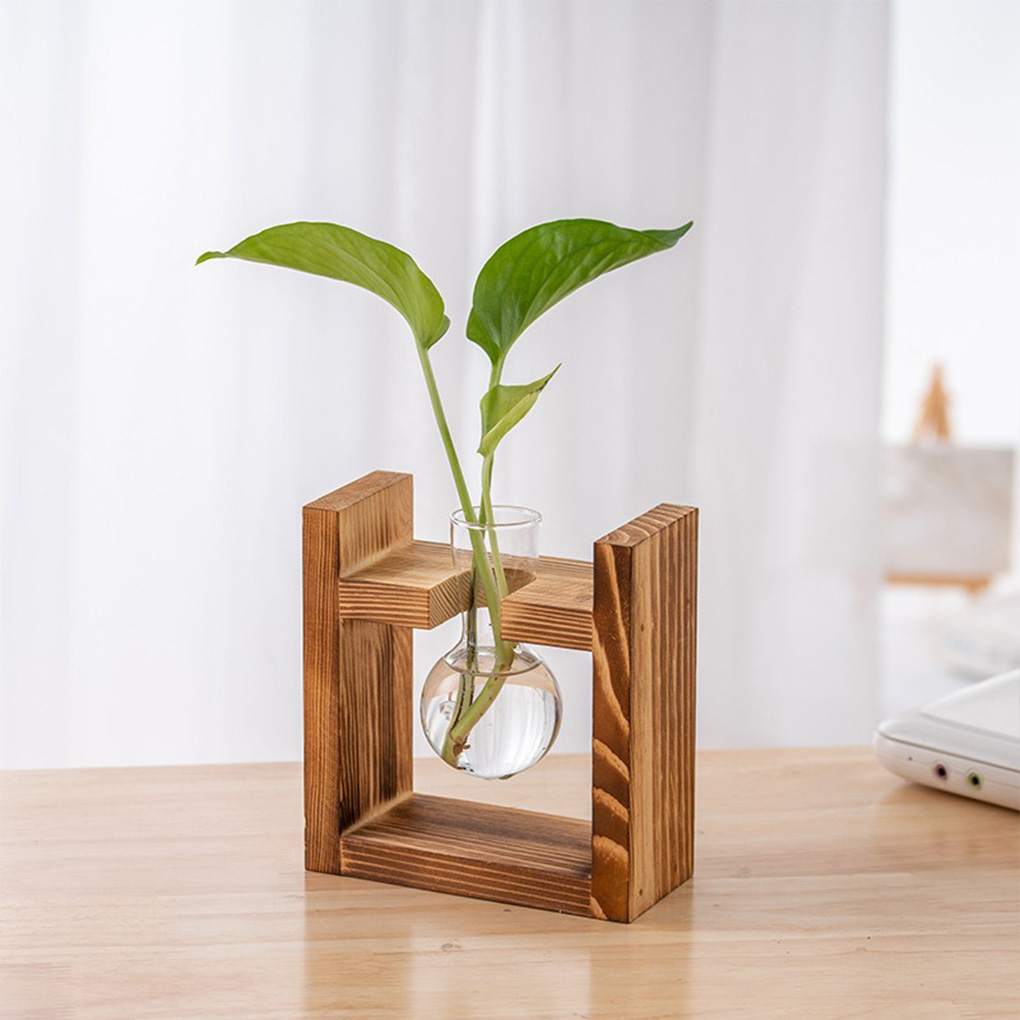 Vases Jardinière hydroponique  - Propagation Station Vase avis et prix