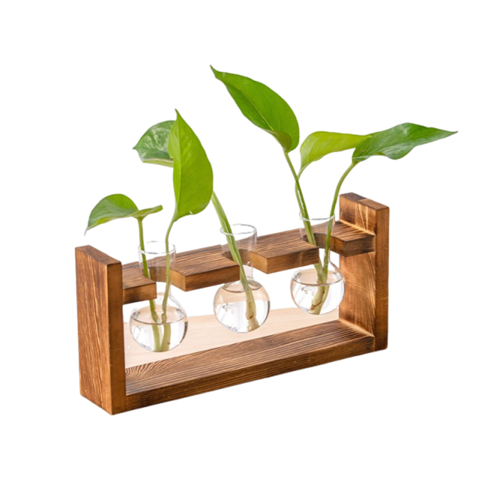 Vases Jardinière hydroponique  - Propagation Station Vase avis et prix
