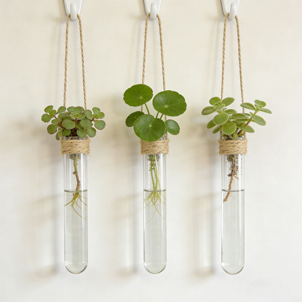 Vase à fleurs hydroponique mur - Propagation Station Vase avis et prix