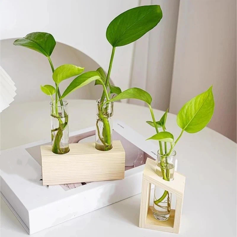 Vase en verre pour plantes, st - Propagation Station Vase avis et prix
