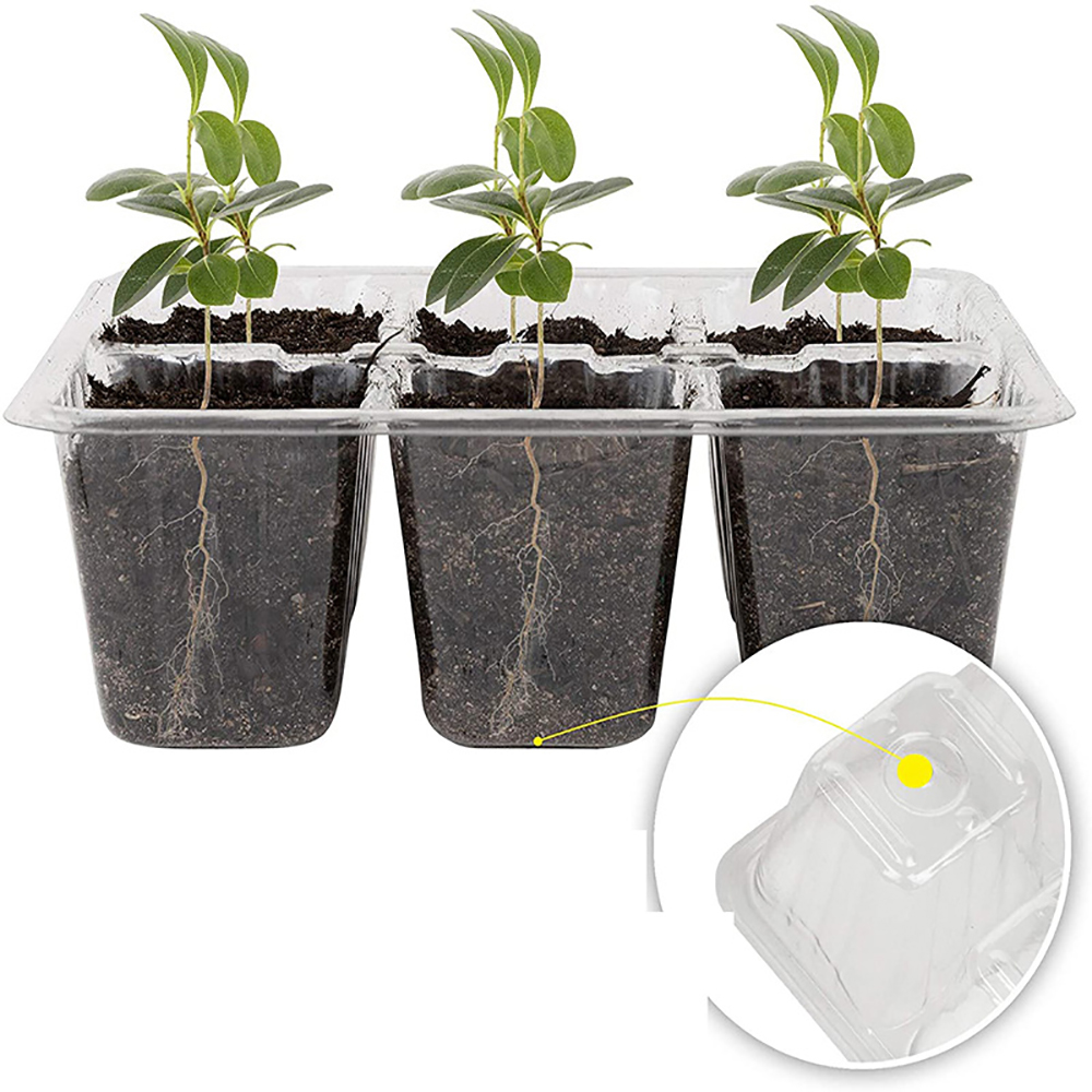 Plateaux de démarrage avec lum - Humidity Dome Kit avis et prix