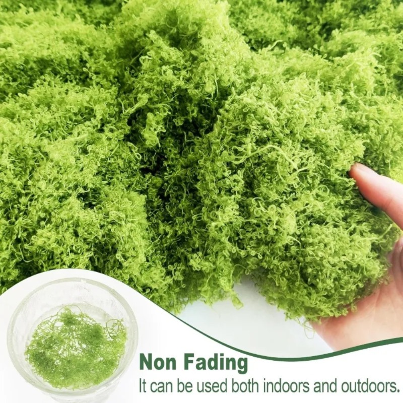 Mousse verte artificielle, fau - Sphagnum Moss Dry avis et prix