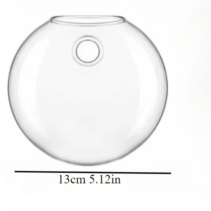 Terrarium mural en verre pour  - Propagation Station Vase avis et prix