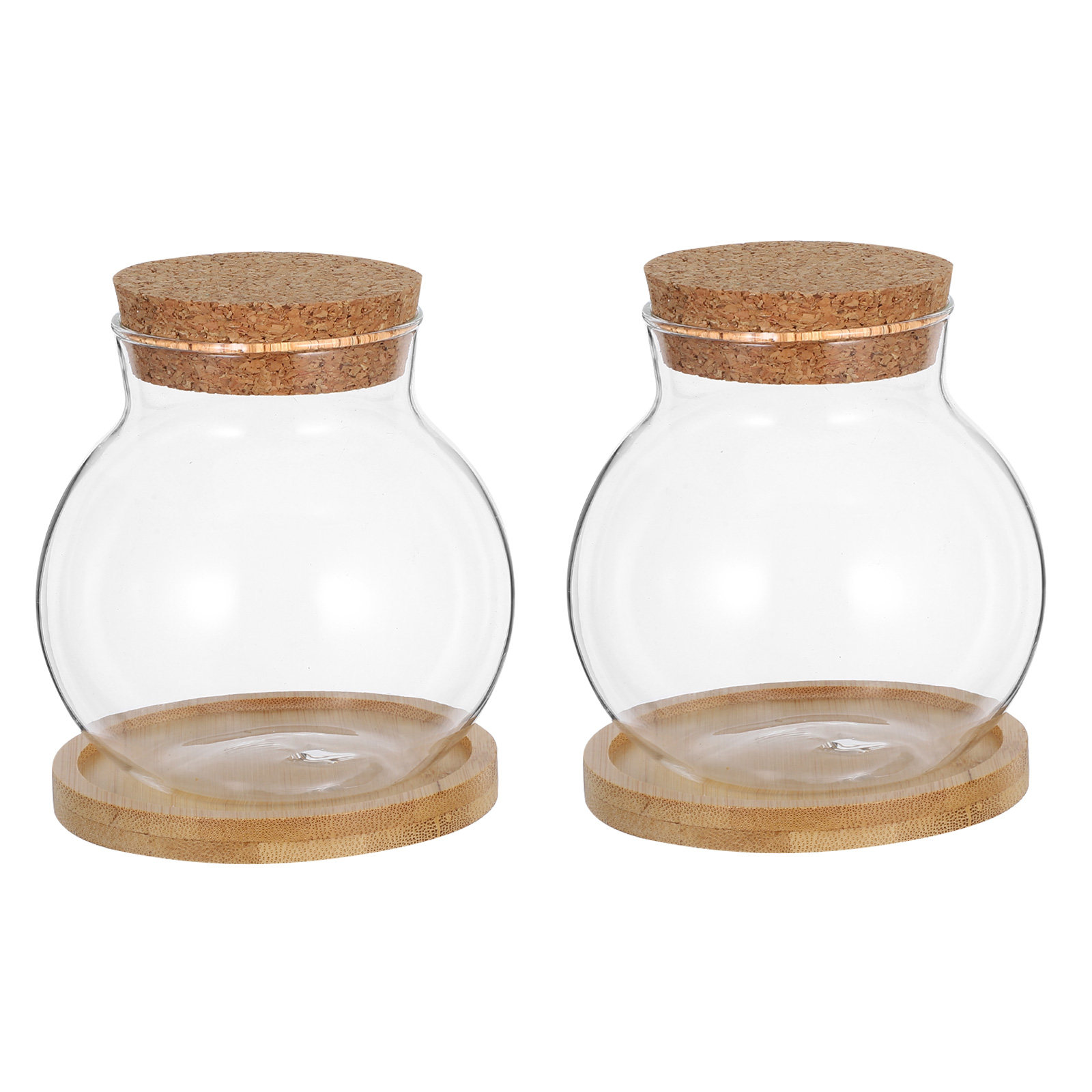 2 ensembles de vases hydroponi - Propagation Station Vase avis et prix