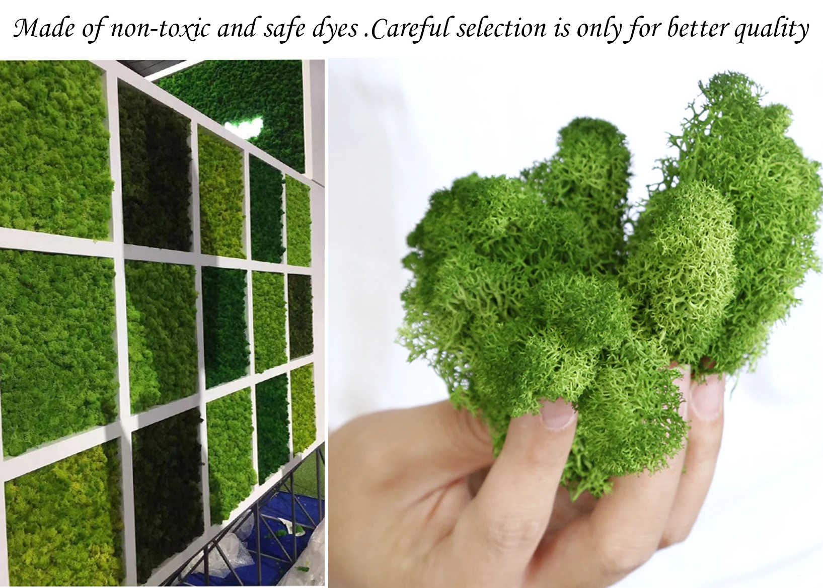 Mousse artificielle pour plant - Sphagnum Moss Dry avis et prix